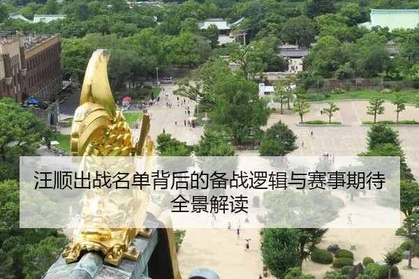 汪顺出战名单背后的备战逻辑与赛事期待全景解读