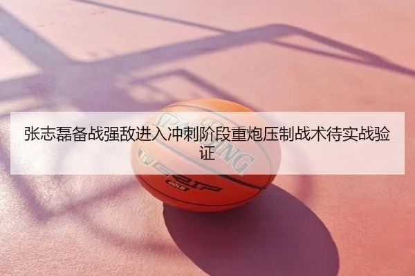 张志磊备战强敌进入冲刺阶段重炮压制战术待实战验证